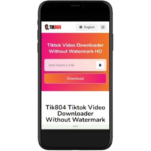 TikTok downloader on mobile phone