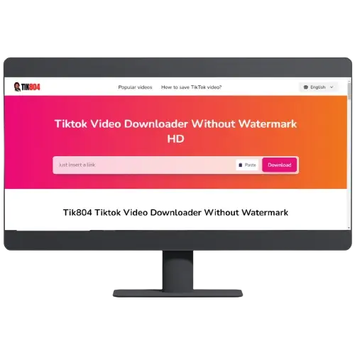 TikTok downloader app for PC